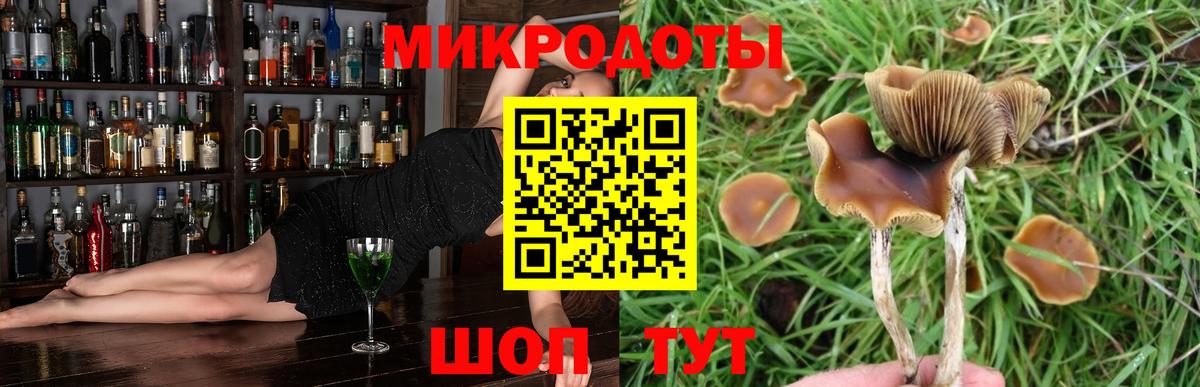 Лабинск  Галлюциногенные грибы Psilocybe  Псилоцибиновые грибы MAGIC MUSHROOMS  Вход с VPN 